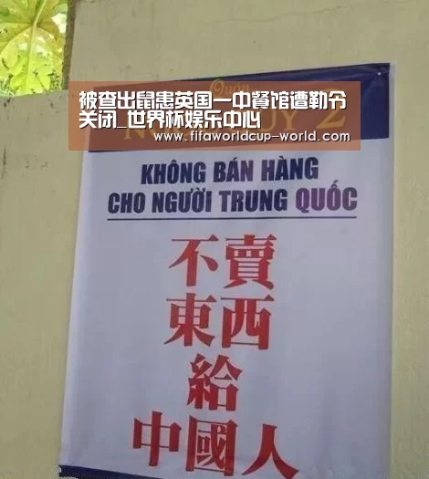 世界杯娱乐中心