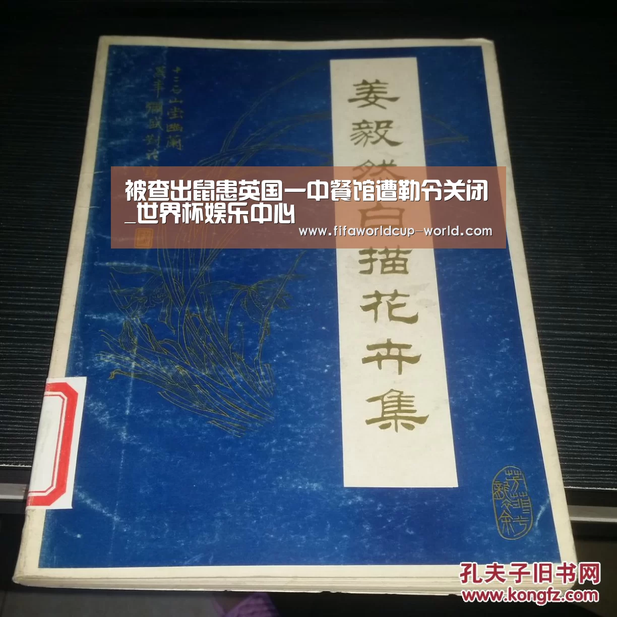 世界杯直播